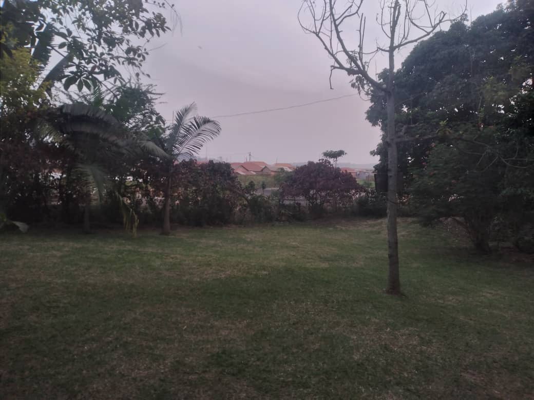 Munyonyo springs garden